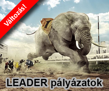 Fontos változások a LEADER pályázati felhívásokban